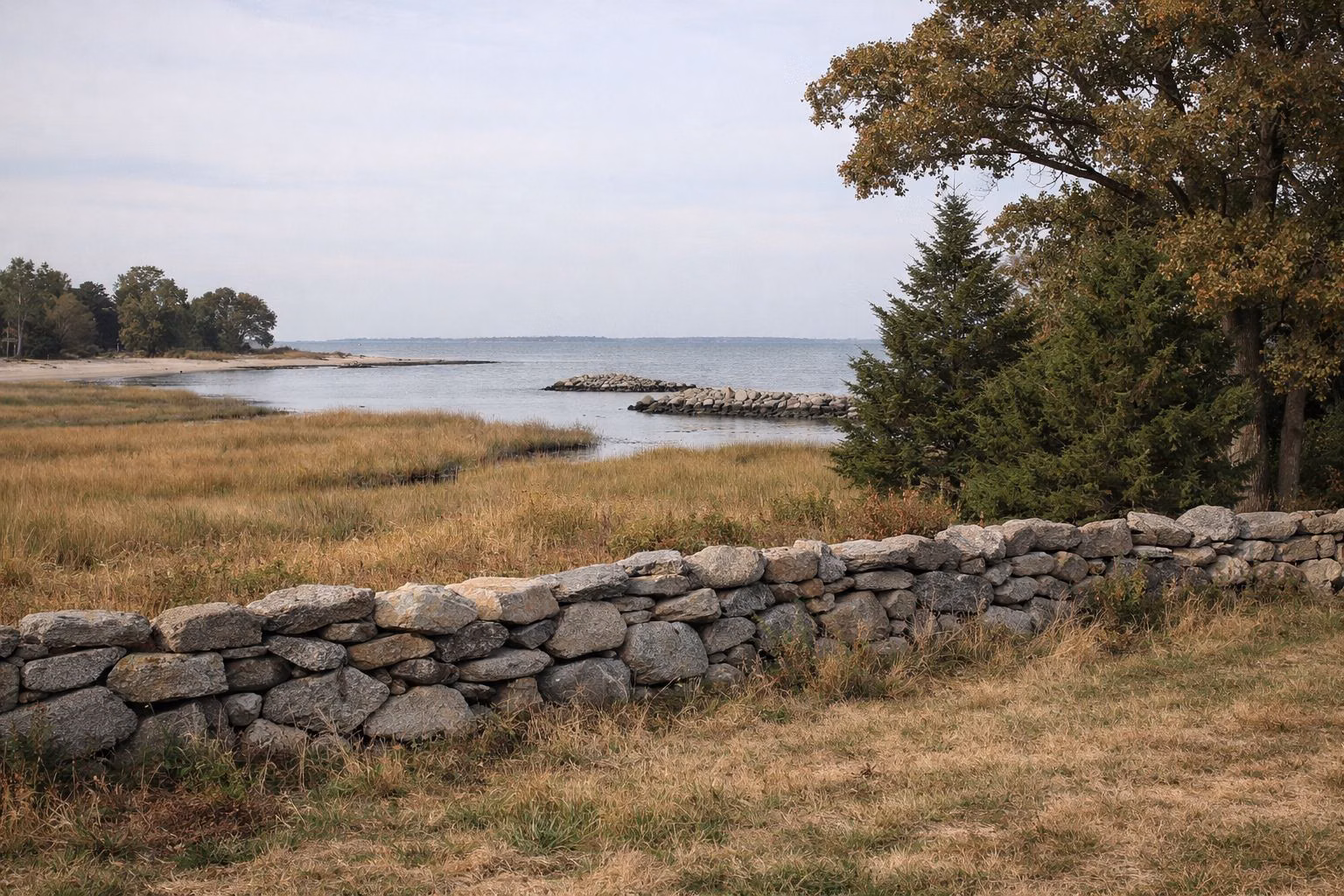 A coastal meadow edged by an old fieldstone wall and cedar trees, salt marsh and water beyond under soft light