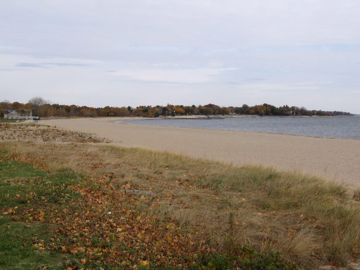 East Beach at Sherwood Island in autumn, dune grass and fallen leaves above the sand