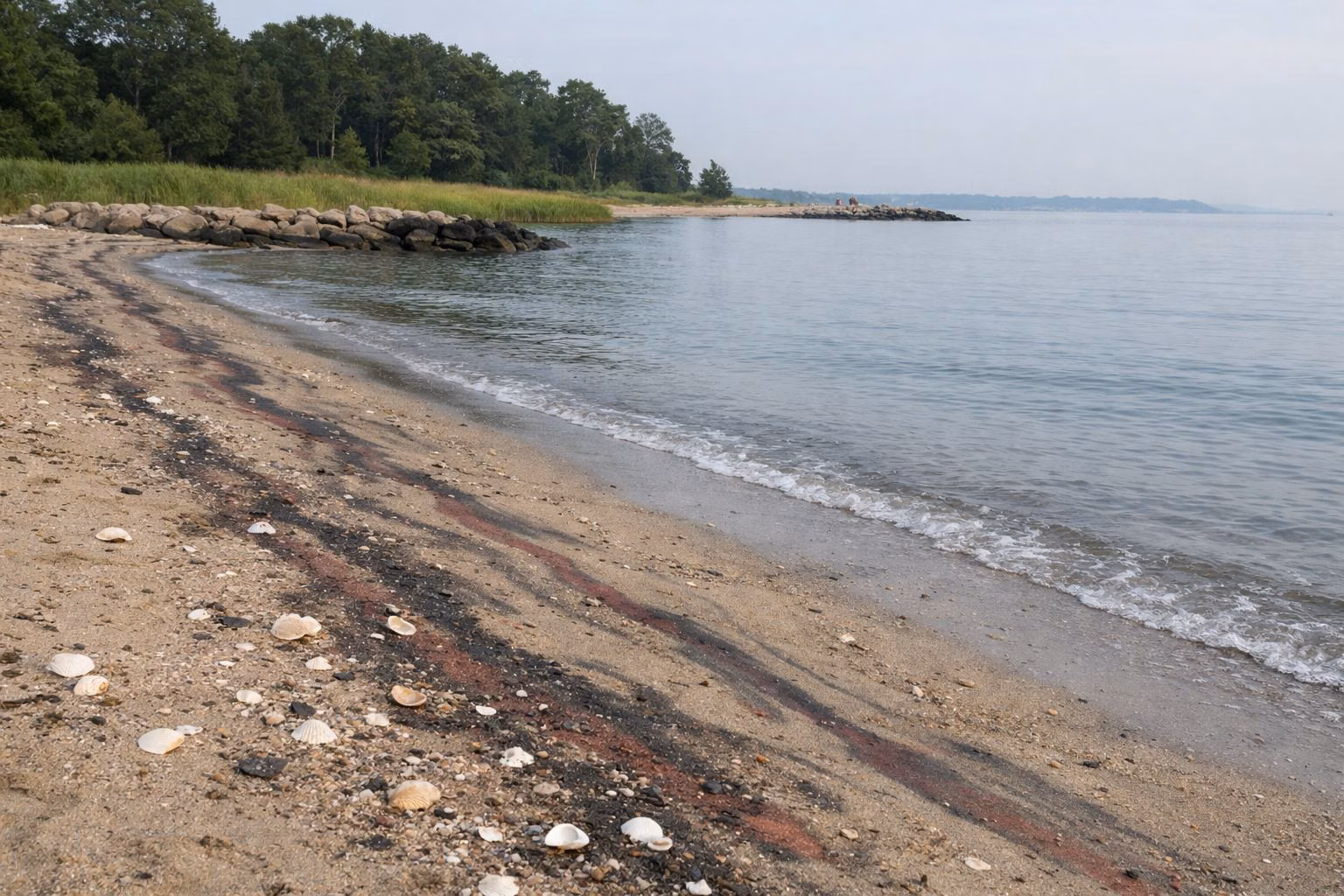 Close shoreline view of a sandy beach with lines of darker red and black sand sorted by the waves and scattered seashells, calm sound beyond