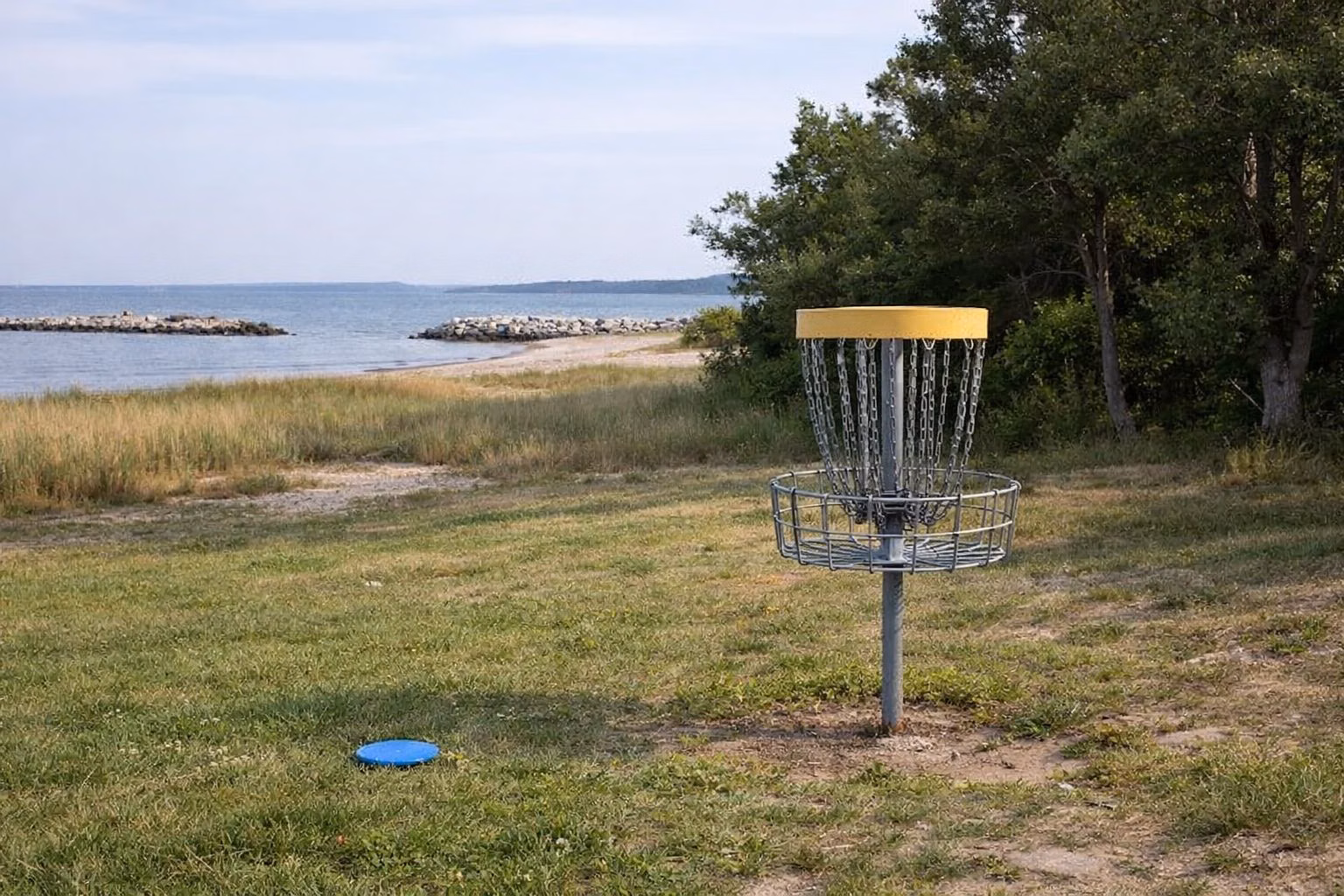 A metal disc golf basket in a grassy clearing at the edge of oak and cedar woods, a disc resting on the grass