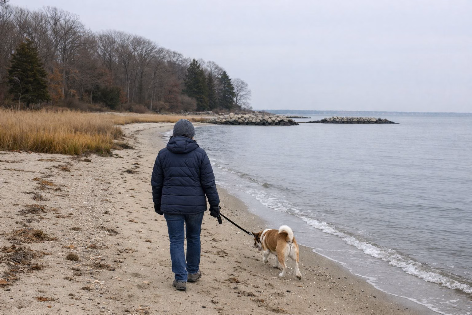 A person walking a leashed dog along an empty sandy beach in cool-season light, jackets on, calm water
