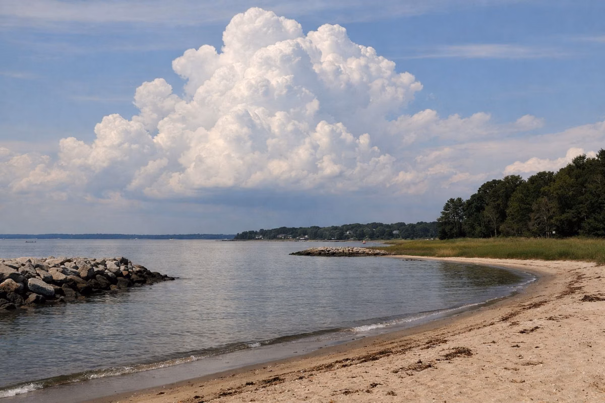 Tall summer cumulus clouds building over calm water seen from a sandy beach