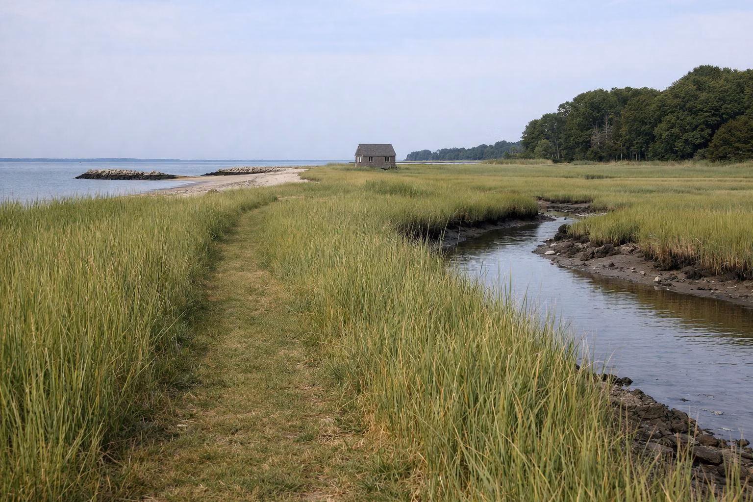 A narrow mown path at the edge of a green salt marsh with tall spartina grass and a tidal creek, small shingled building far off