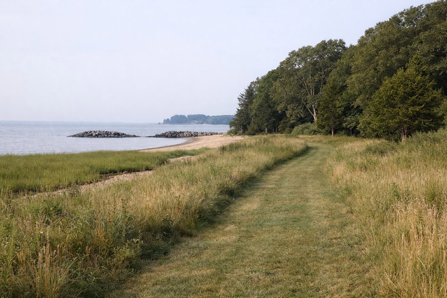 A wide mown walking path through a coastal meadow toward woods and water